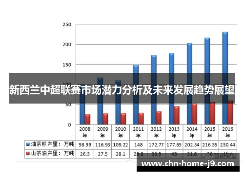 新西兰中超联赛市场潜力分析及未来发展趋势展望