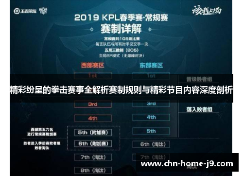 精彩纷呈的拳击赛事全解析赛制规则与精彩节目内容深度剖析